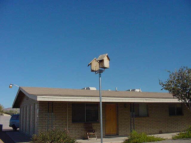 230 North Winchester Road Apache Junction, AZ 85119 - Photo 4 of 5 Additional Photo