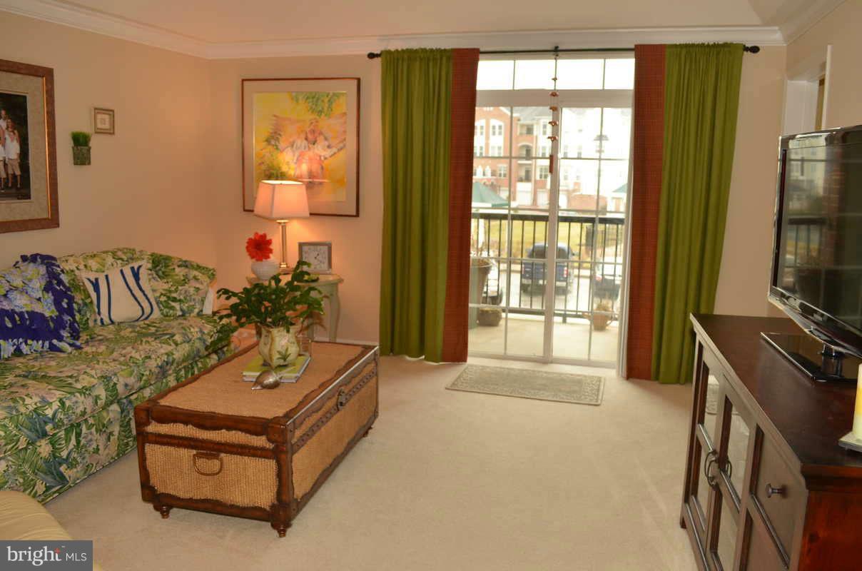 7305 Maplecrest Road, Unit 201 Elkridge, MD 21075 - Photo 3 of 16 Living Room