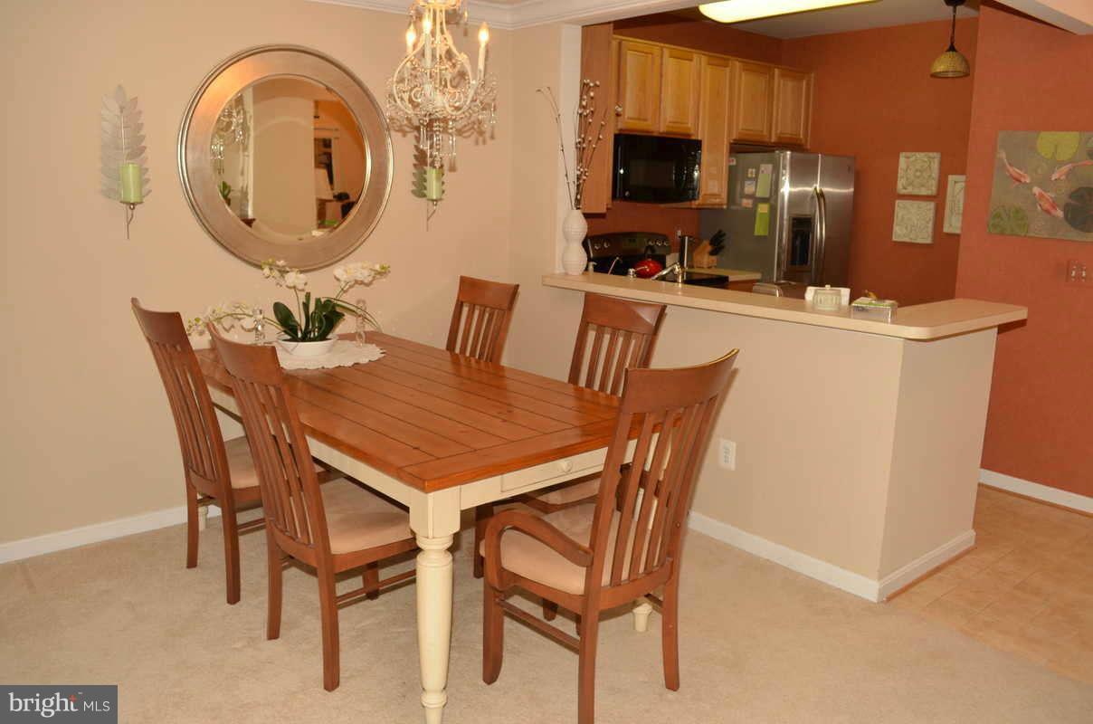 7305 Maplecrest Road, Unit 201 Elkridge, MD 21075 - Photo 5 of 16 Dining Room
