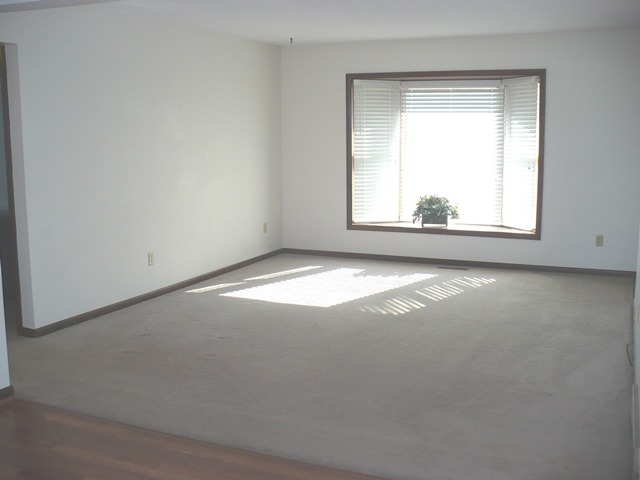 1325 Highland Road Rochelle, IL 61068 - Photo 3 of 19