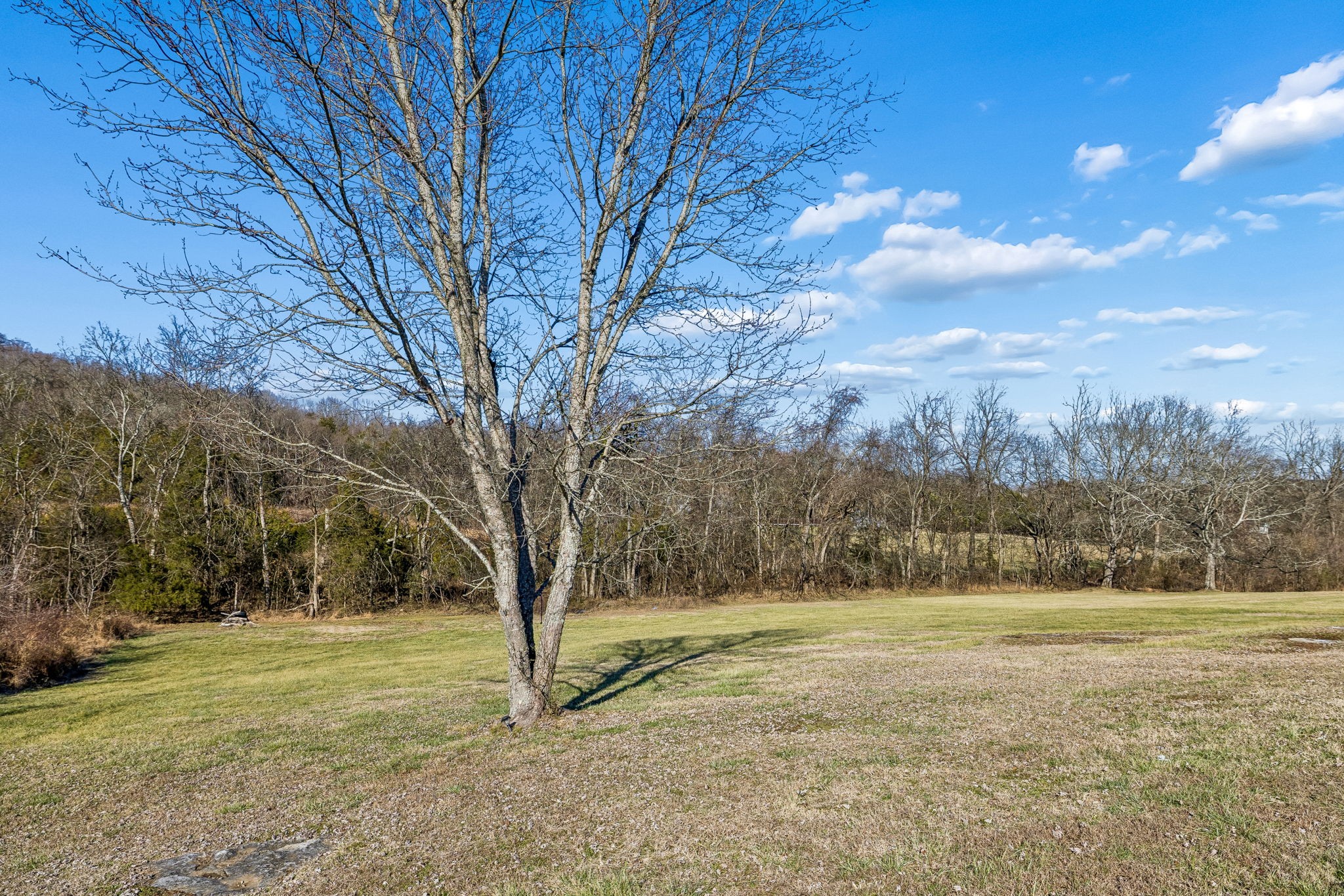 162 Pigeon Roost Road Brush Creek, TN 38547 - Photo 48 of 50 a view of yard with trees