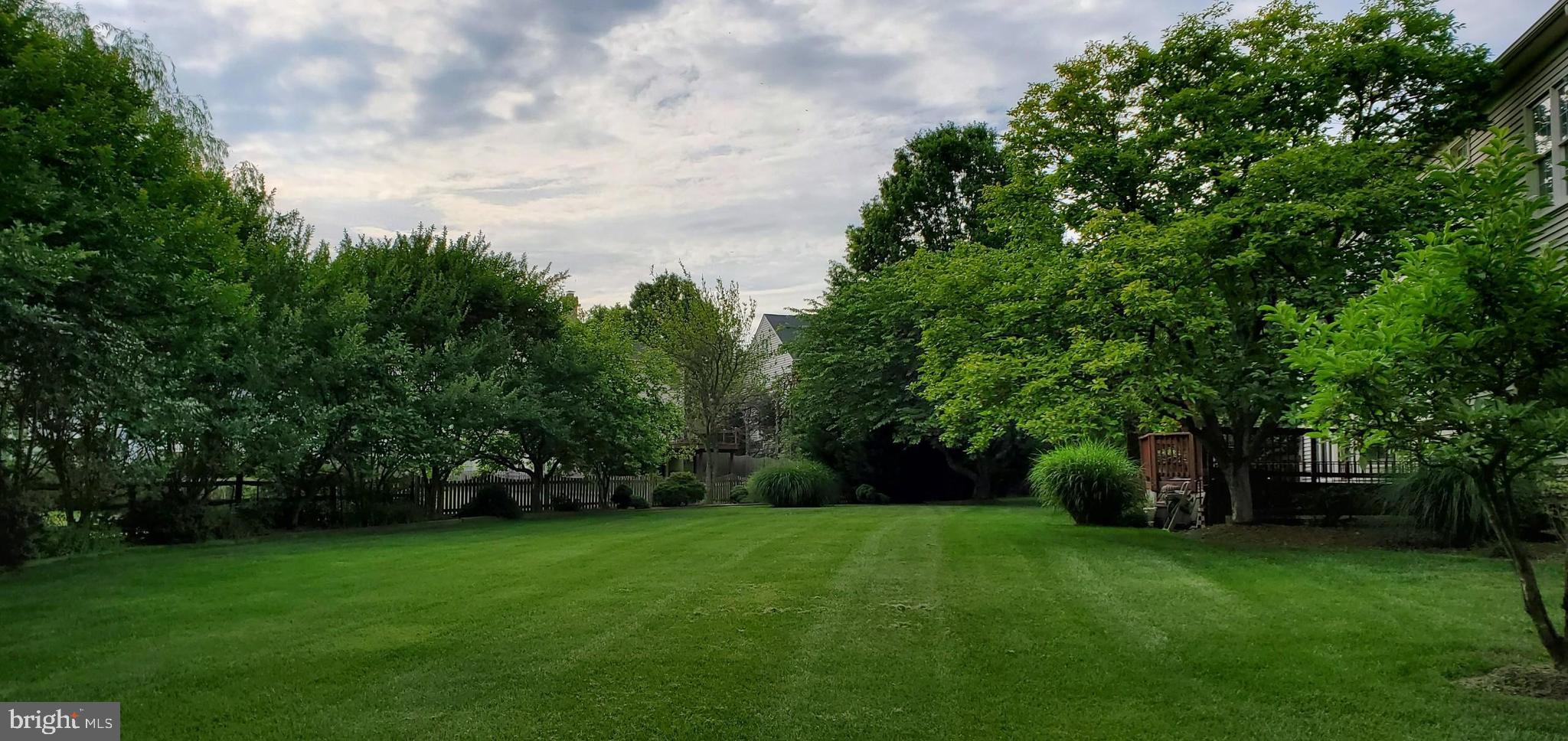 10 Maplecrest Court Potomac, MD 20854 - Photo 65 of 73 Lush and Green during the growing seasons