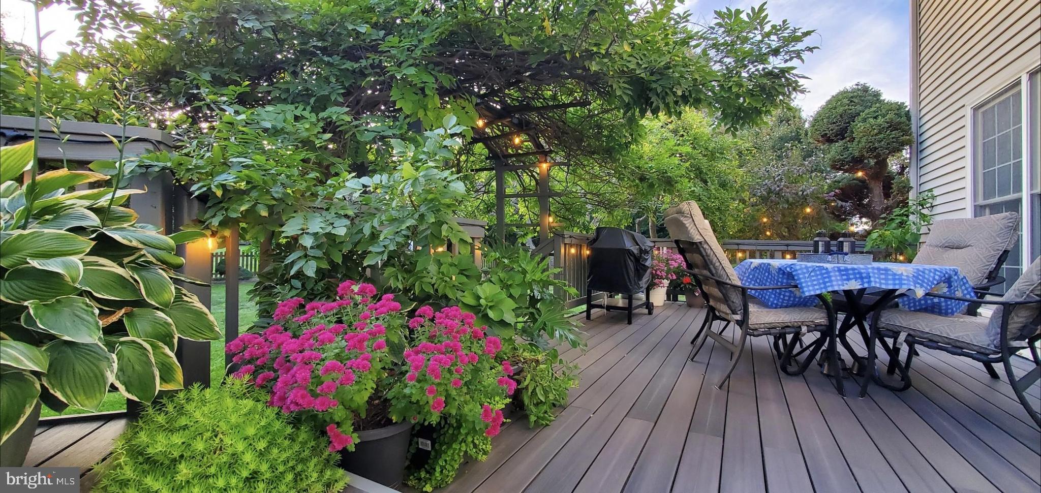 10 Maplecrest Court Potomac, MD 20854 - Photo 67 of 73 Deck in full summer glory!