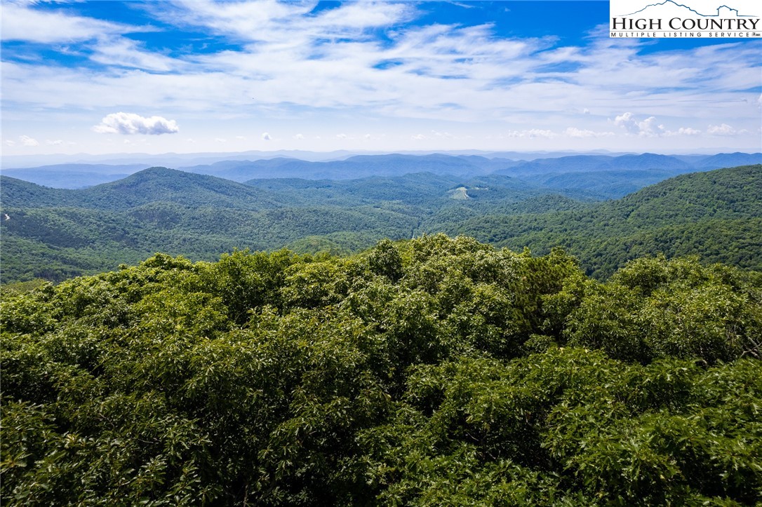 19 Bluebell Trail Boone, NC 28607 - Photo 1 of 31 Gallery Image 1