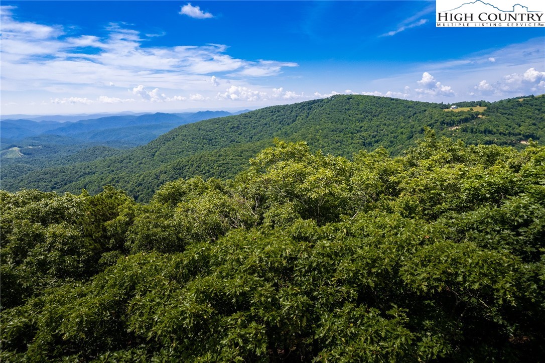 19 Bluebell Trail Boone, NC 28607 - Photo 3 of 31 Gallery Image 3
