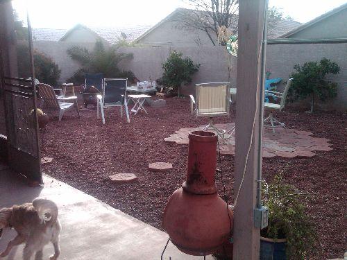 533 West St John Road Phoenix, AZ 85023 - Photo 21 of 23 Back Yard 1