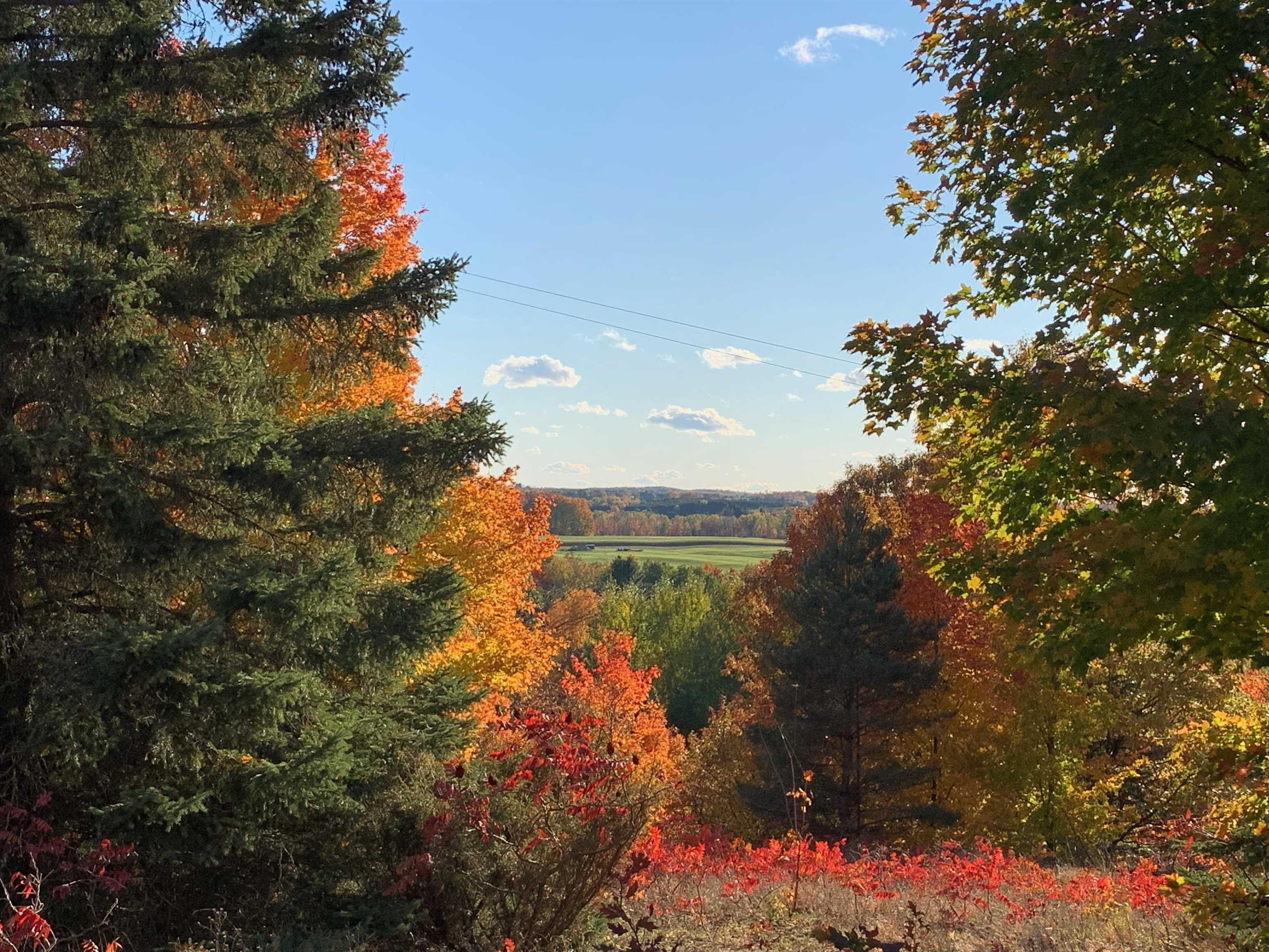 0 Elk Lake Road Williamsburg, MI 49690 - Photo 17 of 19 Gallery Image 17