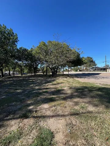 a view of a yard with a large trees