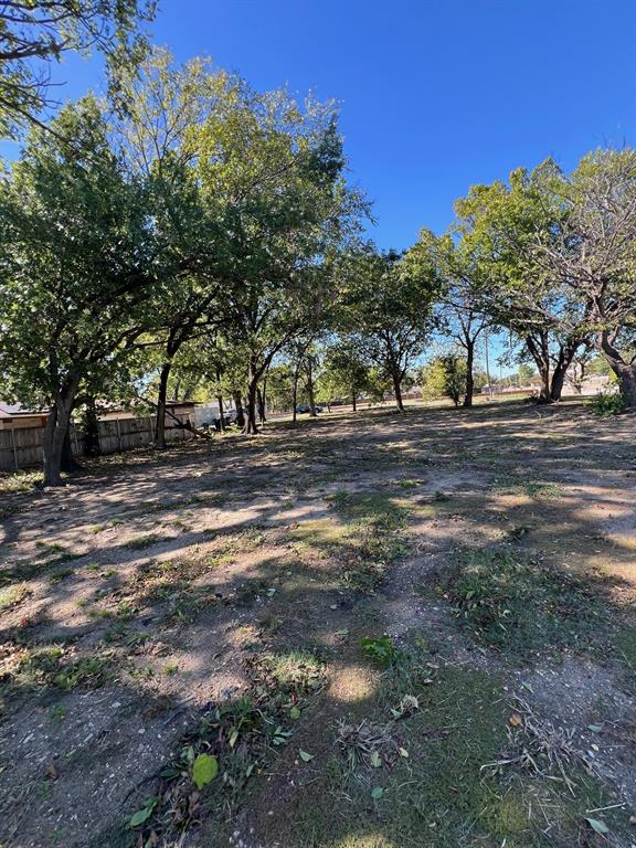 9724 Michael Lane Dallas, TX 75228 - Photo 4 of 7 a view of dirt yard with a large tree