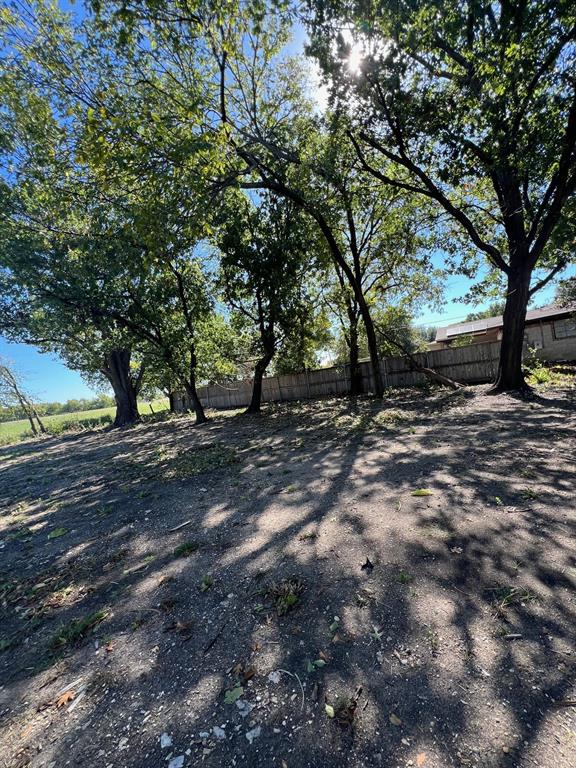 9724 Michael Lane Dallas, TX 75228 - Photo 5 of 7 a view of dirt yard with a large tree
