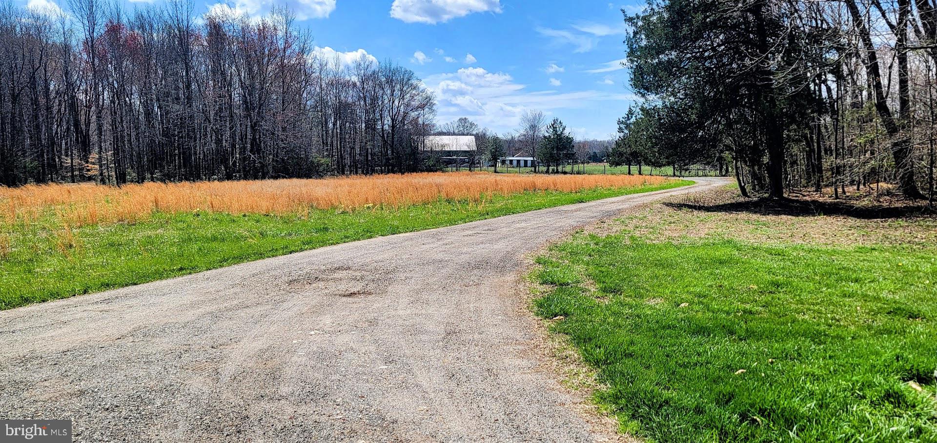 15928 Brandywine Road Brandywine, MD 20613 - Photo 34 of 40 a view of a park with large trees