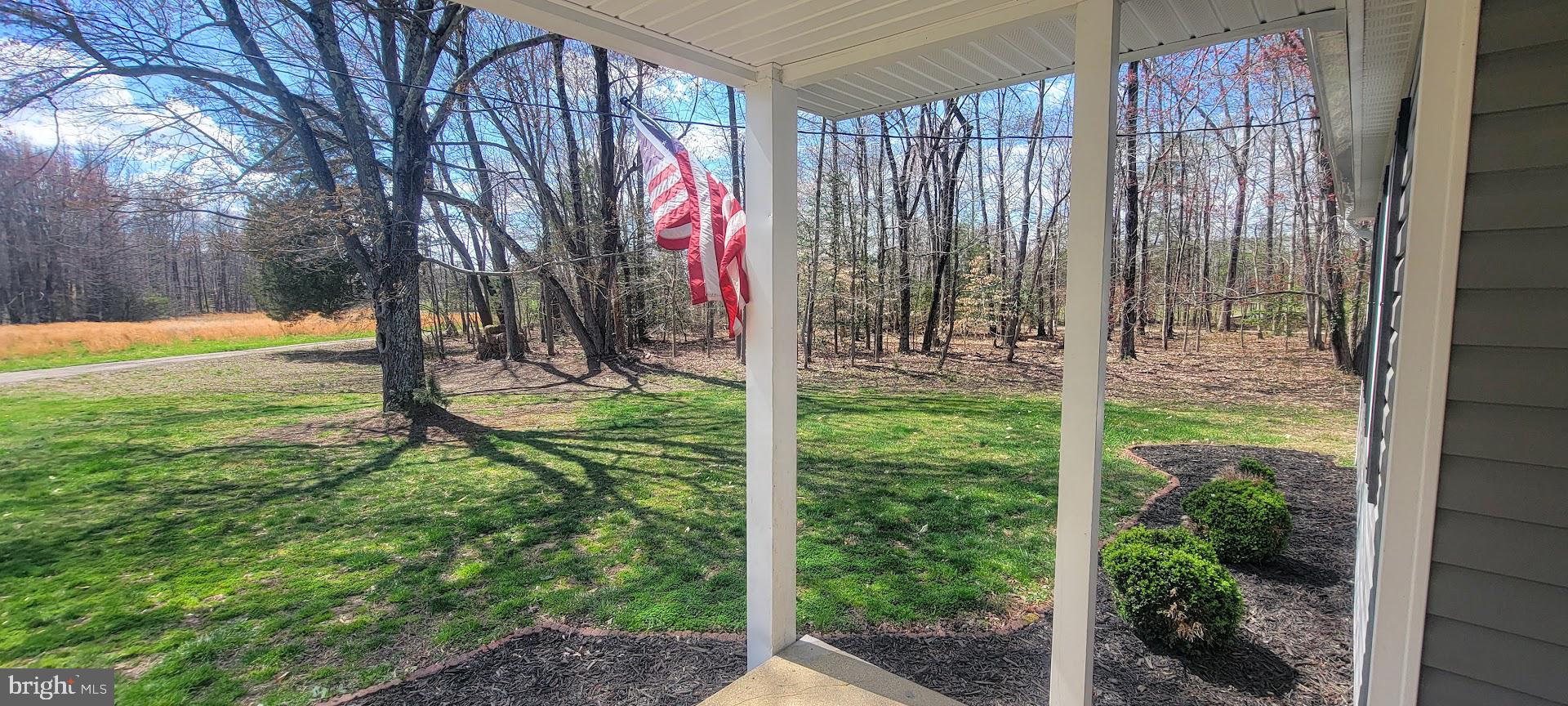 15928 Brandywine Road Brandywine, MD 20613 - Photo 35 of 40 a view of a yard with a tree