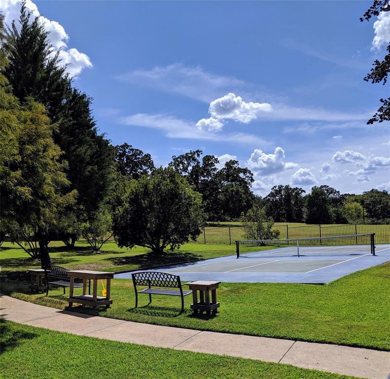 7710 Shore Crest Way Athens, TX 75752 - Photo 16 of 17 Pickleball court