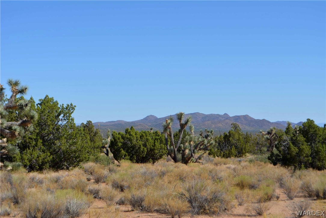 19630 South Wagon Trail Road Yucca, AZ 86438 - Photo 12 of 34 Gallery Image 12