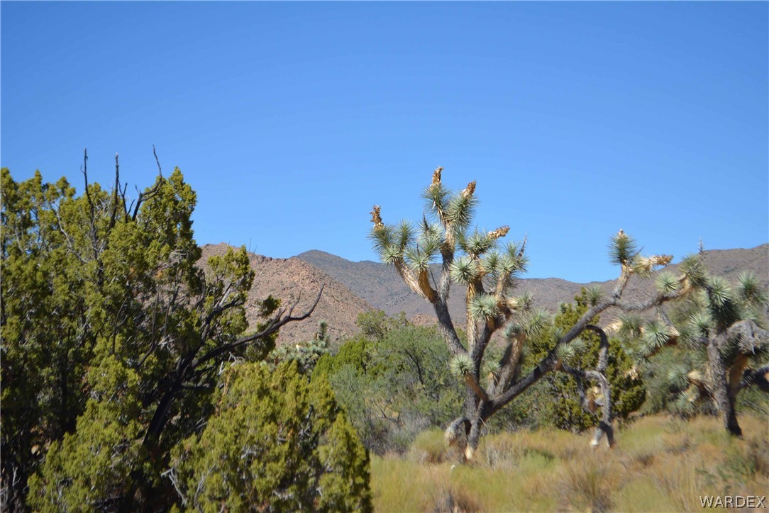 19630 South Wagon Trail Road Yucca, AZ 86438 - Photo 24 of 34 Gallery Image 24