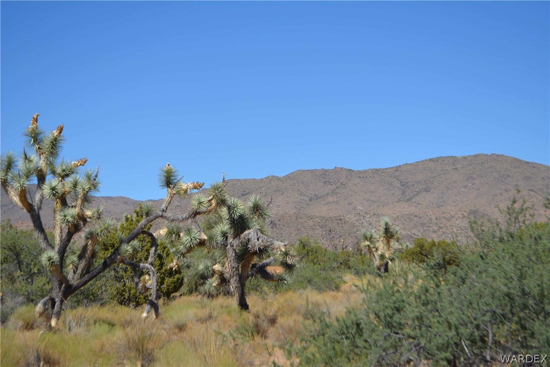 19630 South Wagon Trail Road Yucca, AZ 86438 - Photo 25 of 34 Gallery Image 25