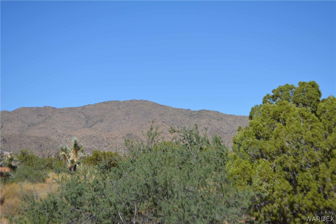 19630 South Wagon Trail Road Yucca, AZ 86438 - Photo 26 of 34 Gallery Image 26