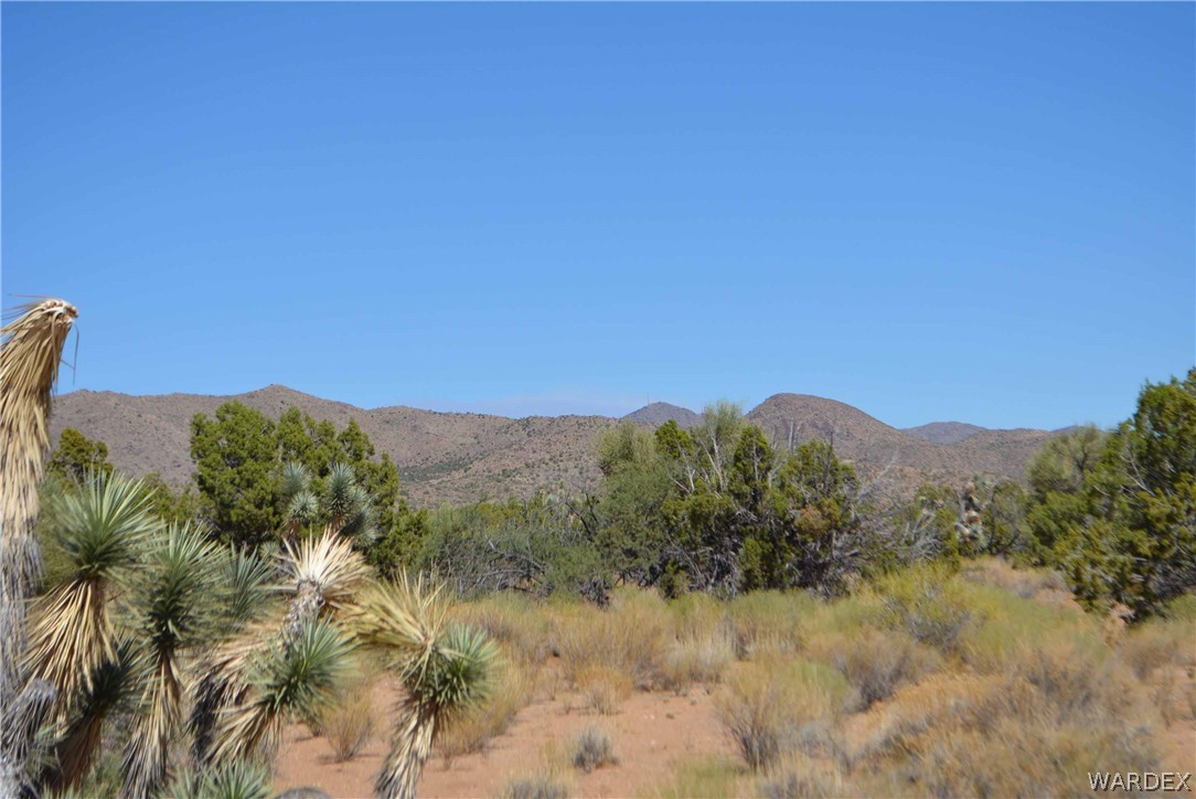 19630 South Wagon Trail Road Yucca, AZ 86438 - Photo 27 of 34 Gallery Image 27