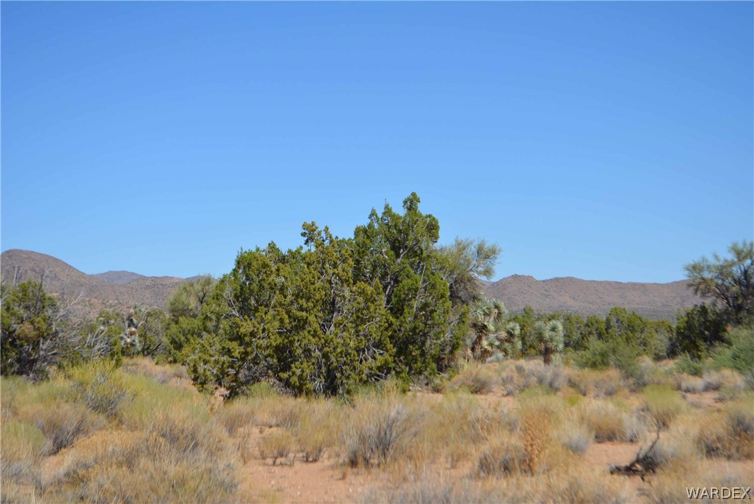 19630 South Wagon Trail Road Yucca, AZ 86438 - Photo 28 of 34 Gallery Image 28