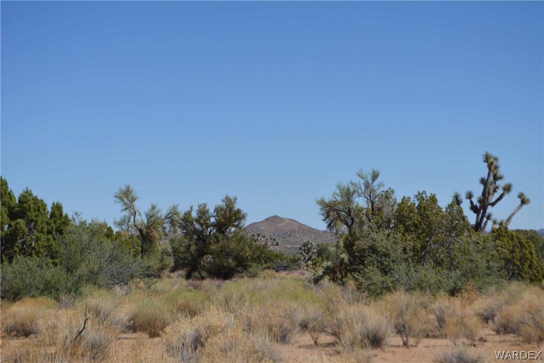 19630 South Wagon Trail Road Yucca, AZ 86438 - Photo 29 of 34 Gallery Image 29