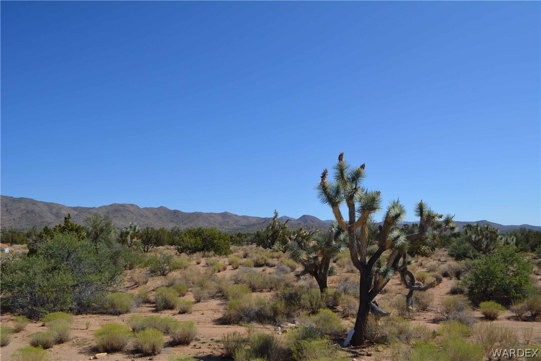 19630 South Wagon Trail Road Yucca, AZ 86438 - Photo 32 of 34 Gallery Image 32