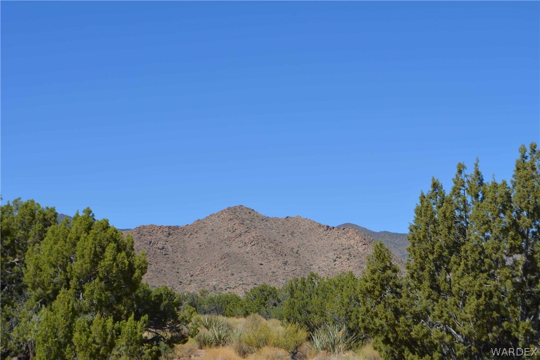 19630 South Wagon Trail Road Yucca, AZ 86438 - Photo 9 of 34 Gallery Image 9