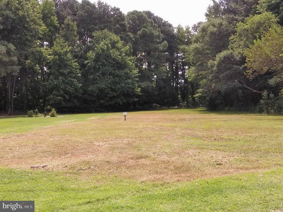 0 Texas Road South Bivalve, MD 21814 - Photo 2 of 6 View