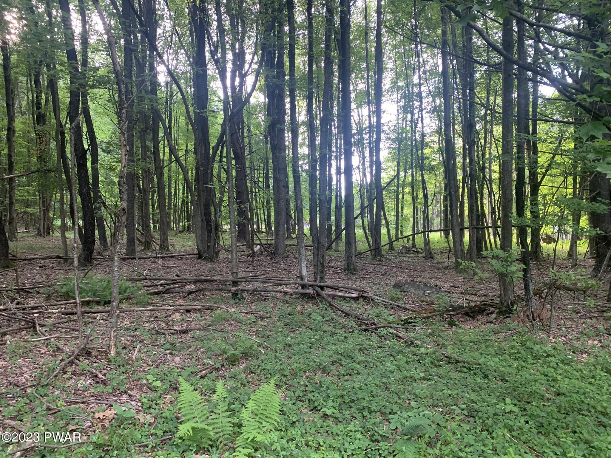 Rosengrant Road Lake Ariel, PA 18436 - Photo 1 of 5