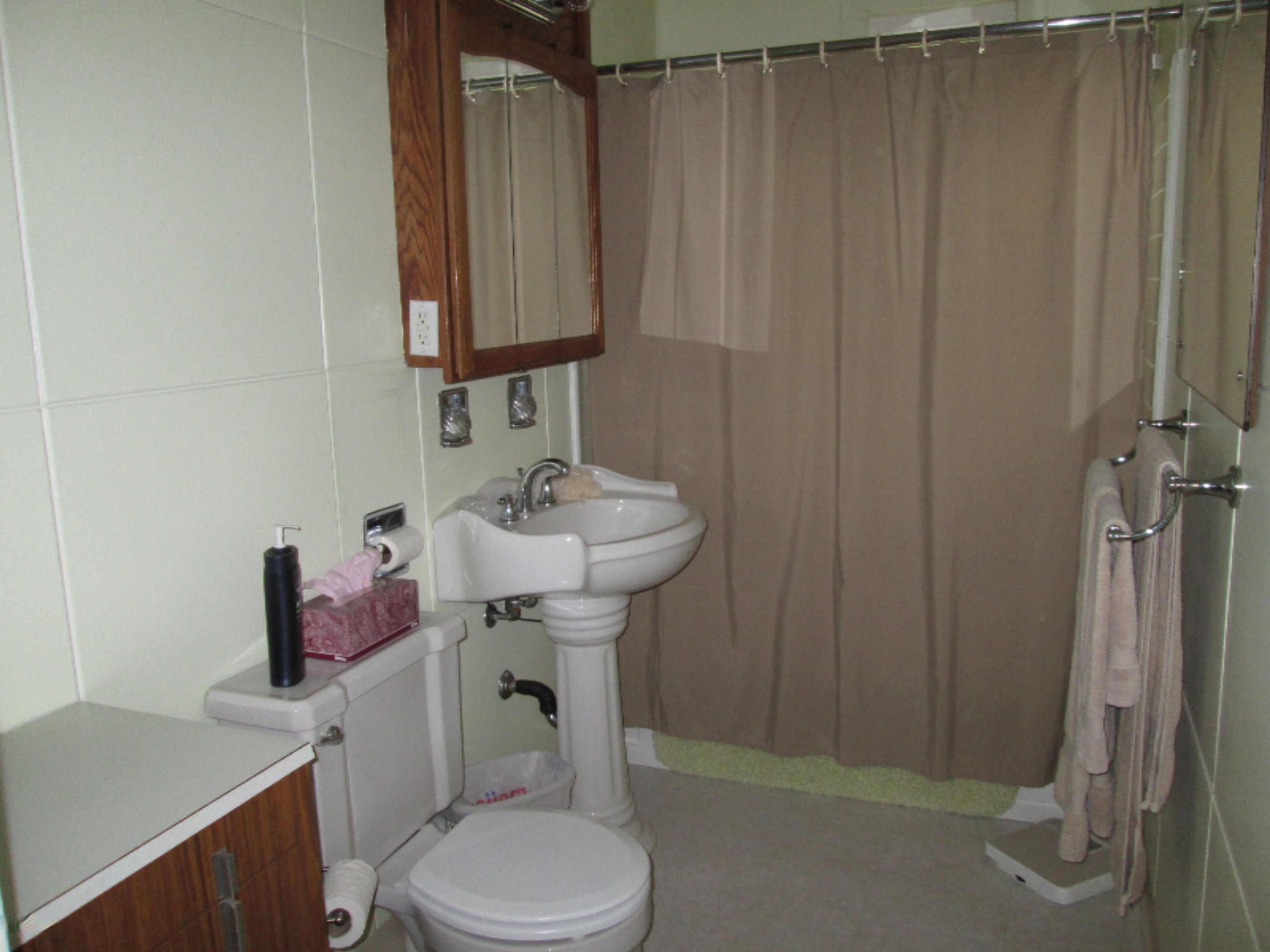 410 North Main Street Three Rivers, MI 49093 - Photo 17 of 24 410 N Main TR 028