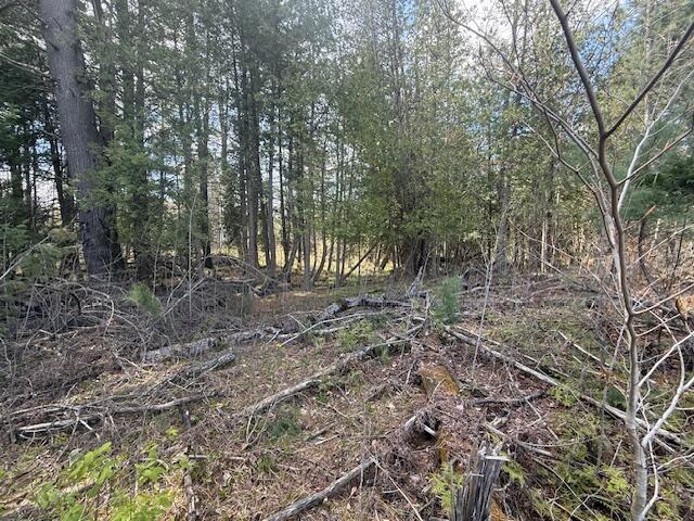 735 North Lakola Road Leroy, MI 49655 - Photo 15 of 15 IMG_5975