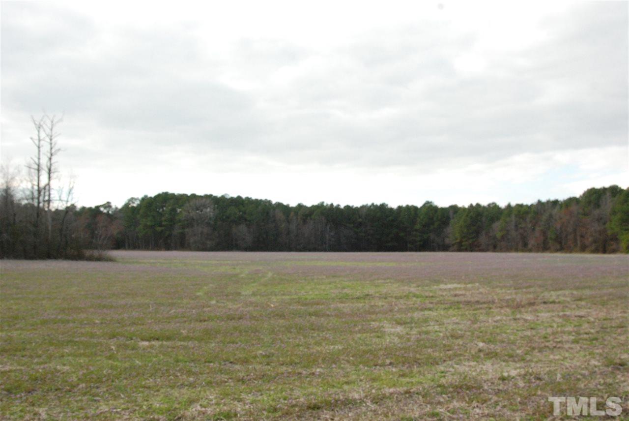 0 Timothy Road Dunn, NC 28334 - Photo 1 of 4 Gallery Image 1