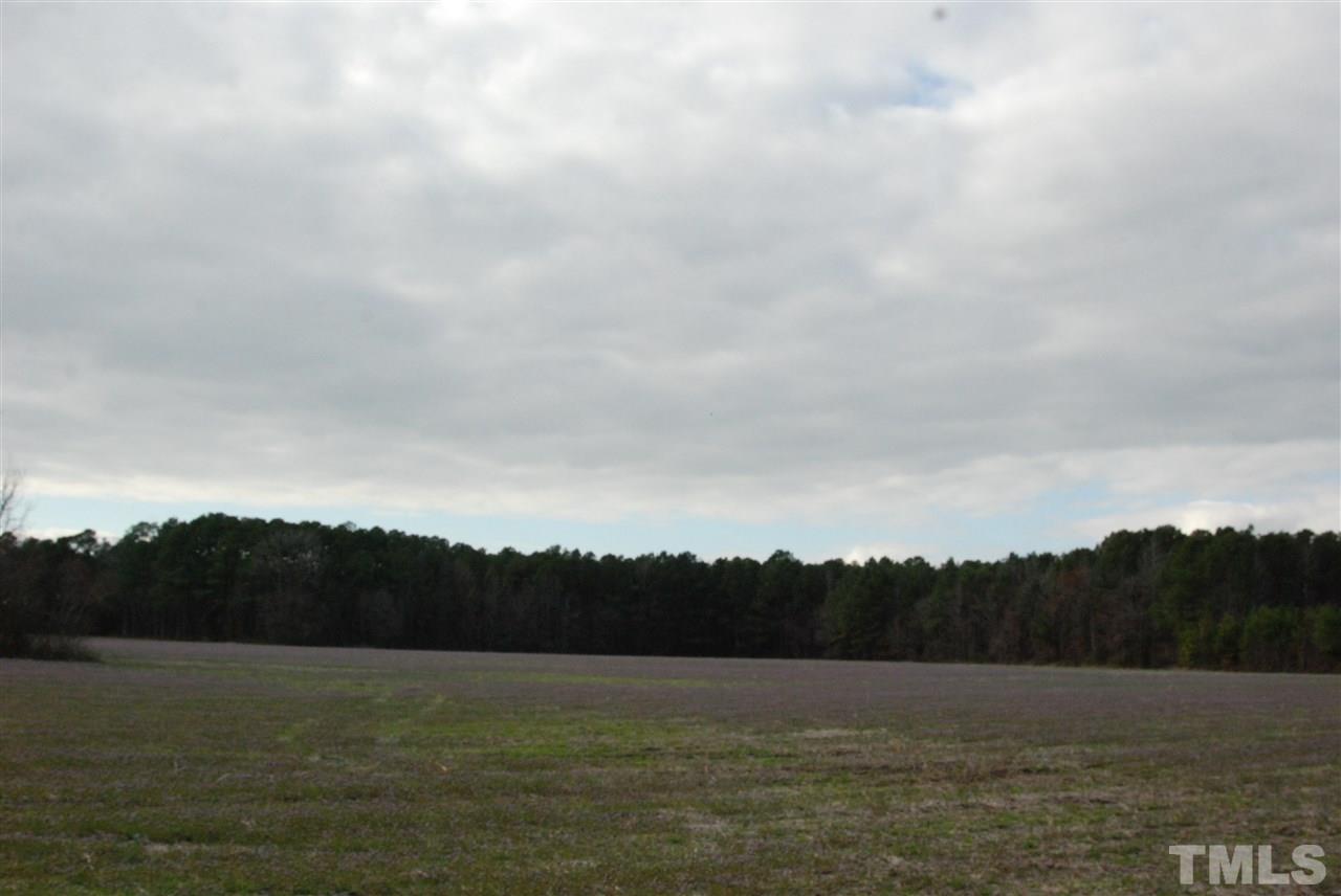 0 Timothy Road Dunn, NC 28334 - Photo 3 of 4 Gallery Image 3