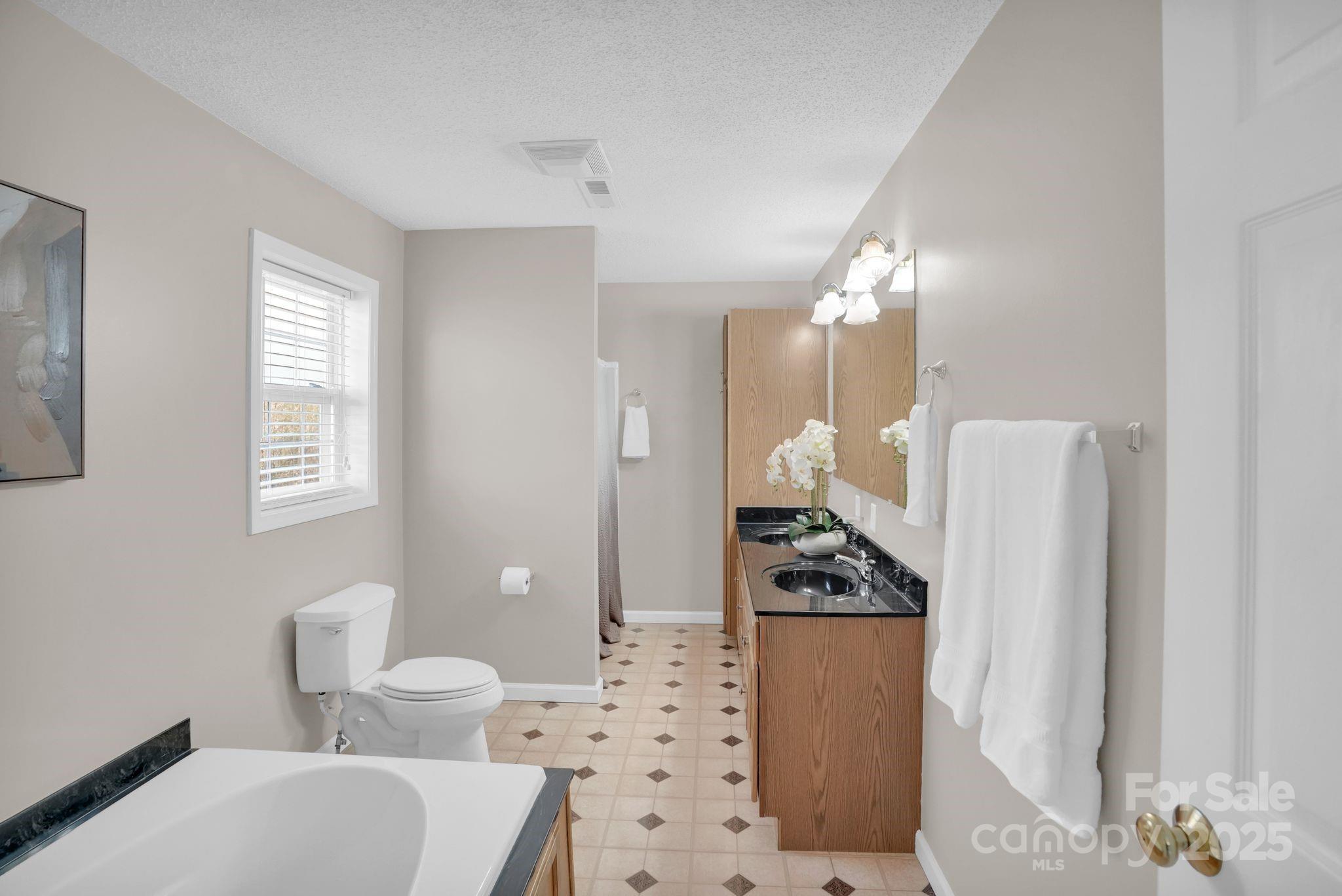 10425 Idlewild Road Matthews, NC 28105 - Photo 13 of 23 a bathroom with a sink a toilet a light fixture and shower