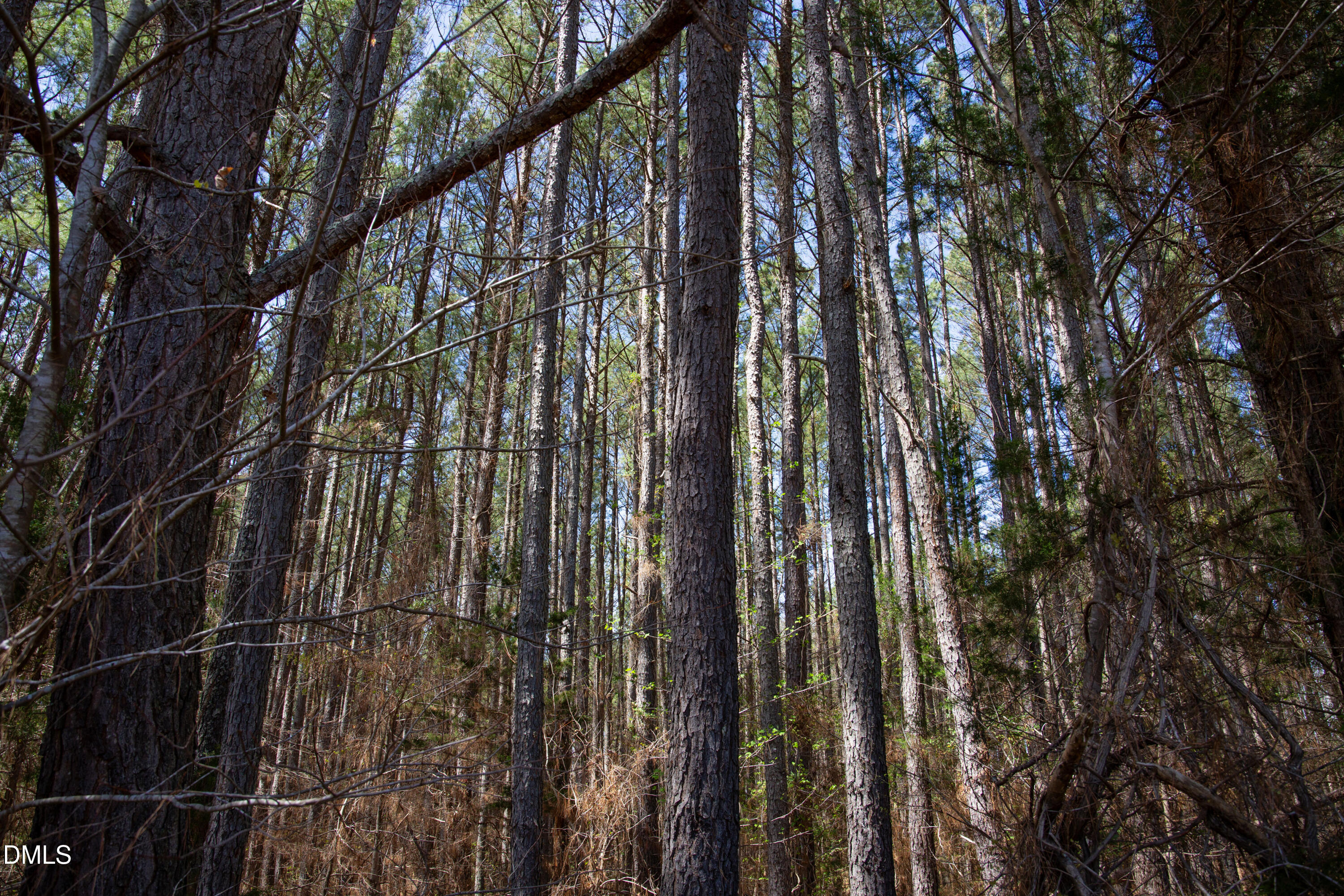 -19 Acs Doll Branch Road Milton, NC 27305 - Photo 8 of 10