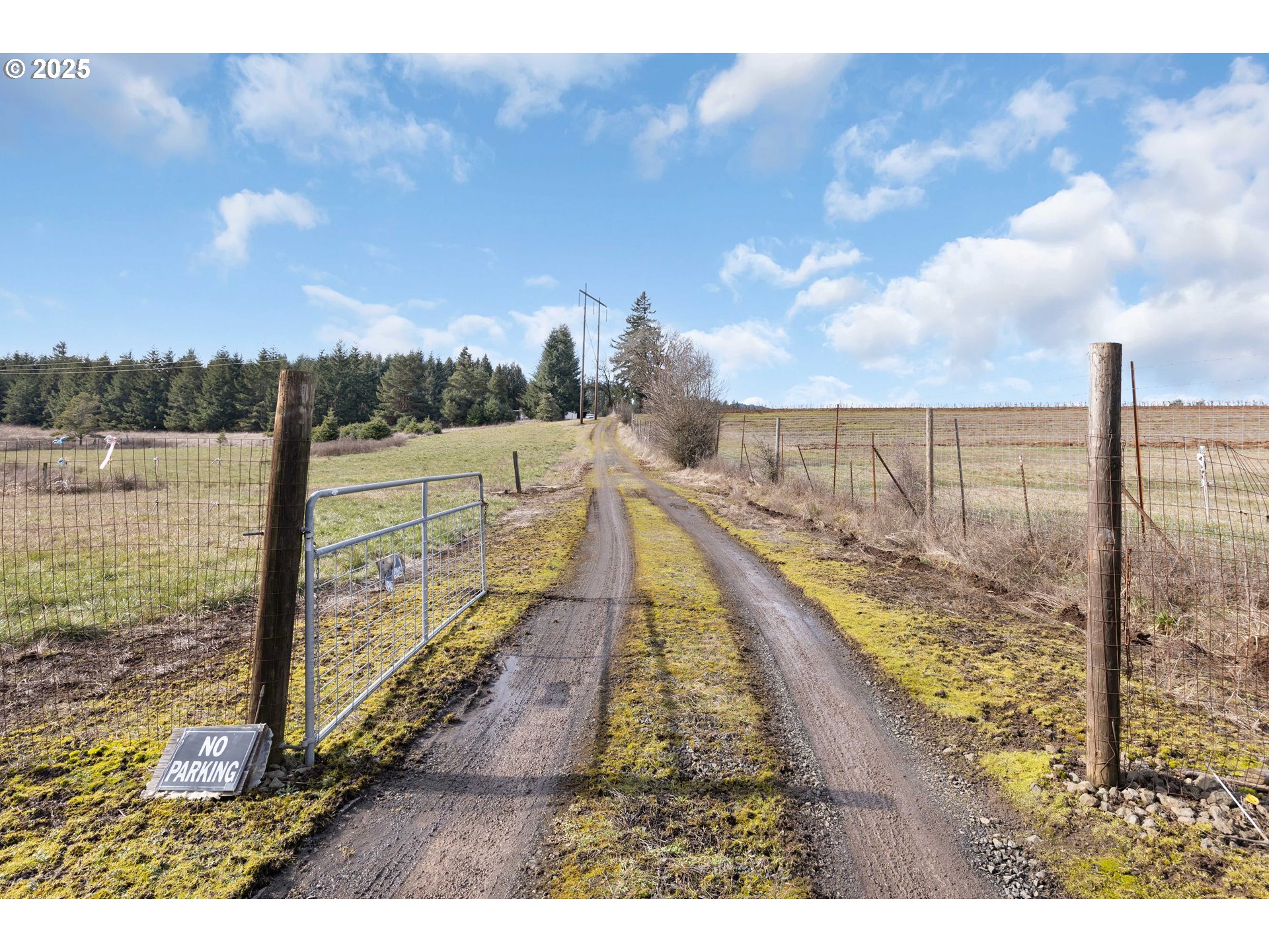 504 Red Hill Road Yoncalla, OR 97499 - Photo 16 of 20 Driveway
