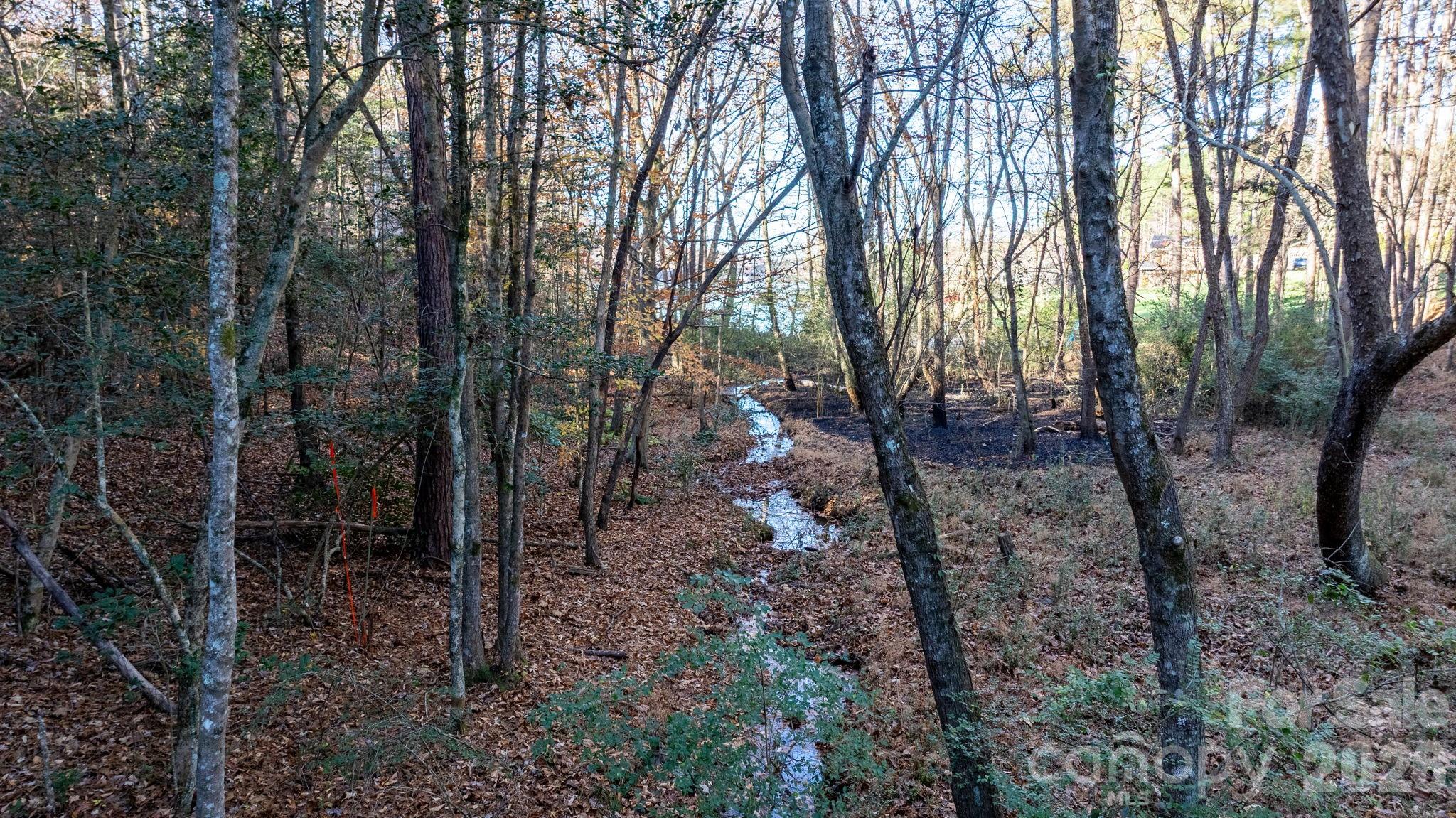 5163 Hurricane Hill Road Granite Falls, NC 28630 - Photo 34 of 40 a view of a forest with trees in the background