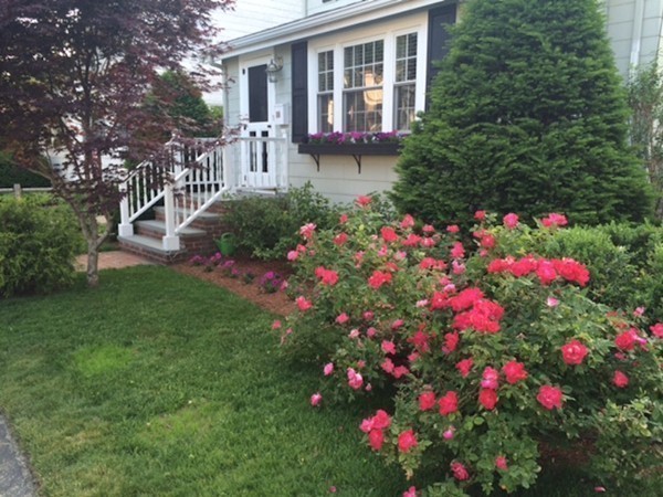 80 Emerson Road Milton, MA 02186 - Photo 3 of 18 Gallery Image 3