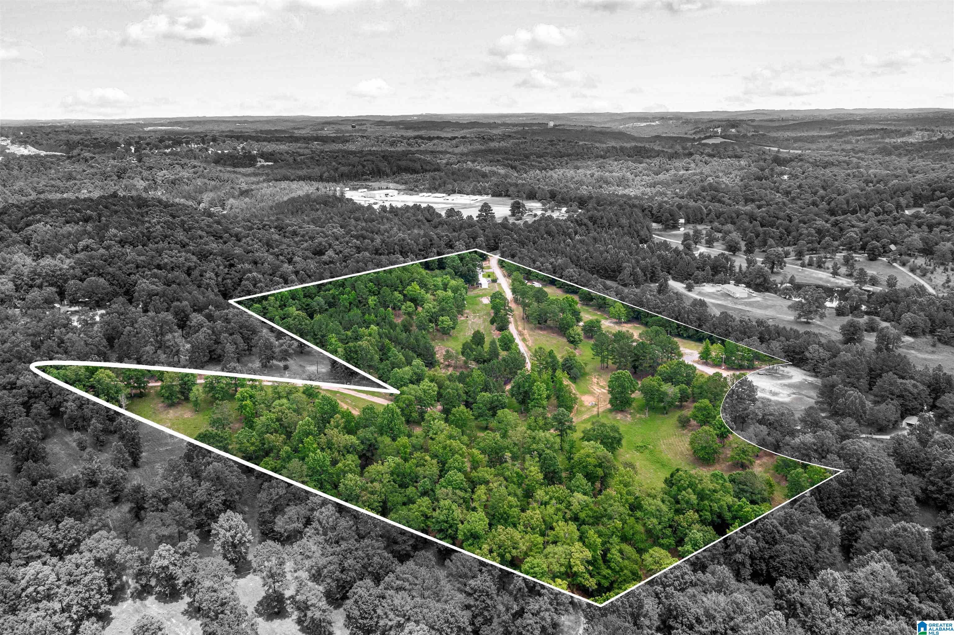 0 Hurricane Valley Road, Unit 1 Brookwood, AL 35444 - Photo 4 of 24