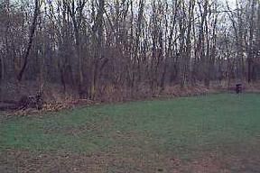 67-70 Mildred Street, Delavan, WI 53115