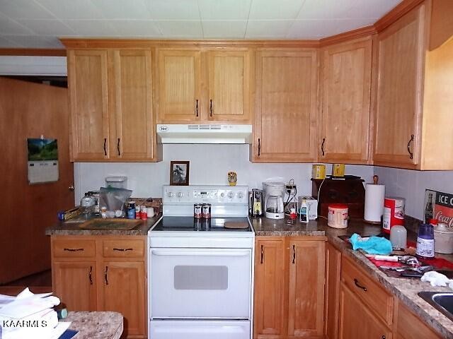 2269 Bowman Loop Crossville, TN 38571 - Photo 9 of 38