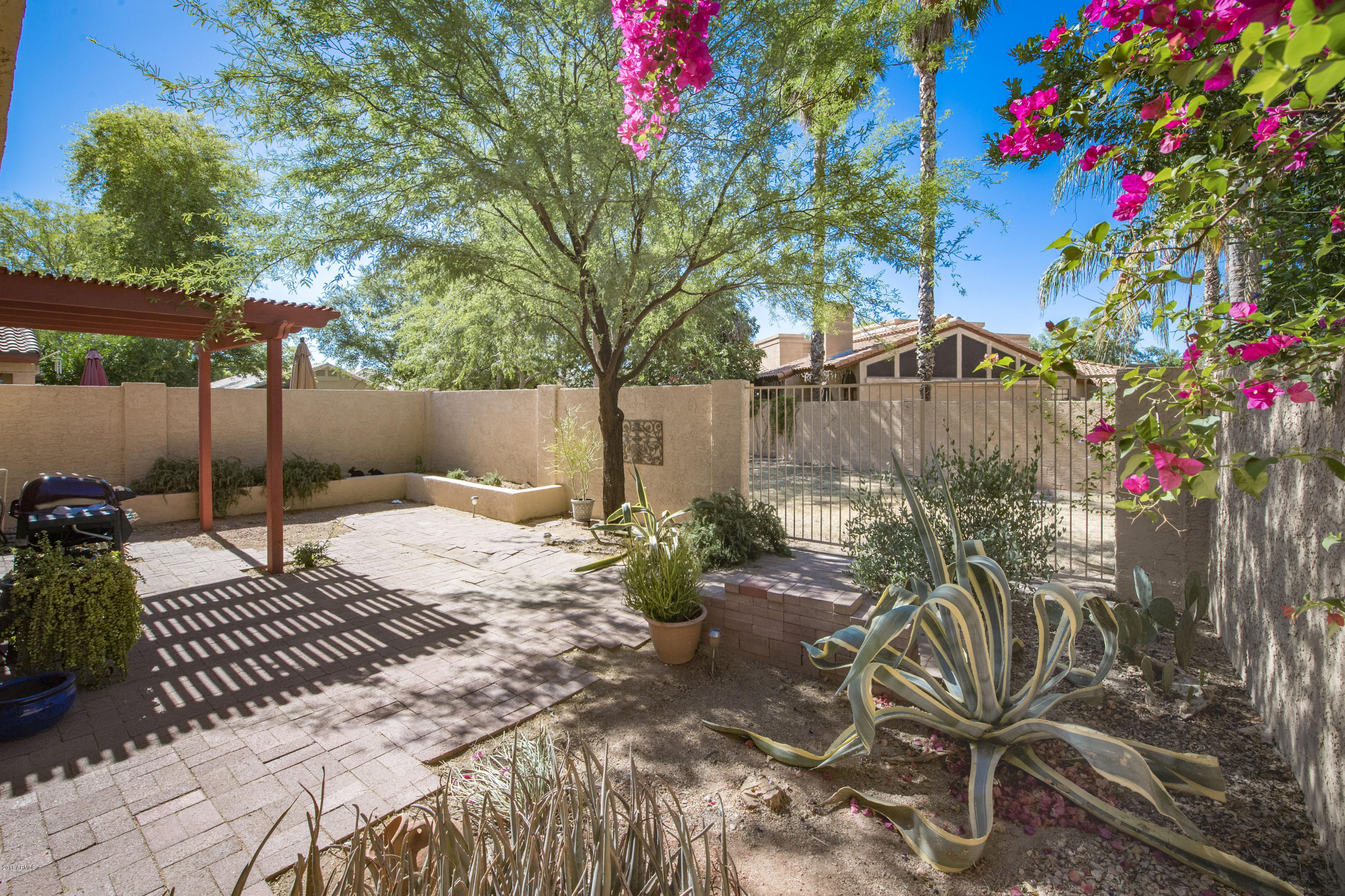 4823 West Del Rio Street Chandler, AZ 85226 - Photo 35 of 38 Pergola