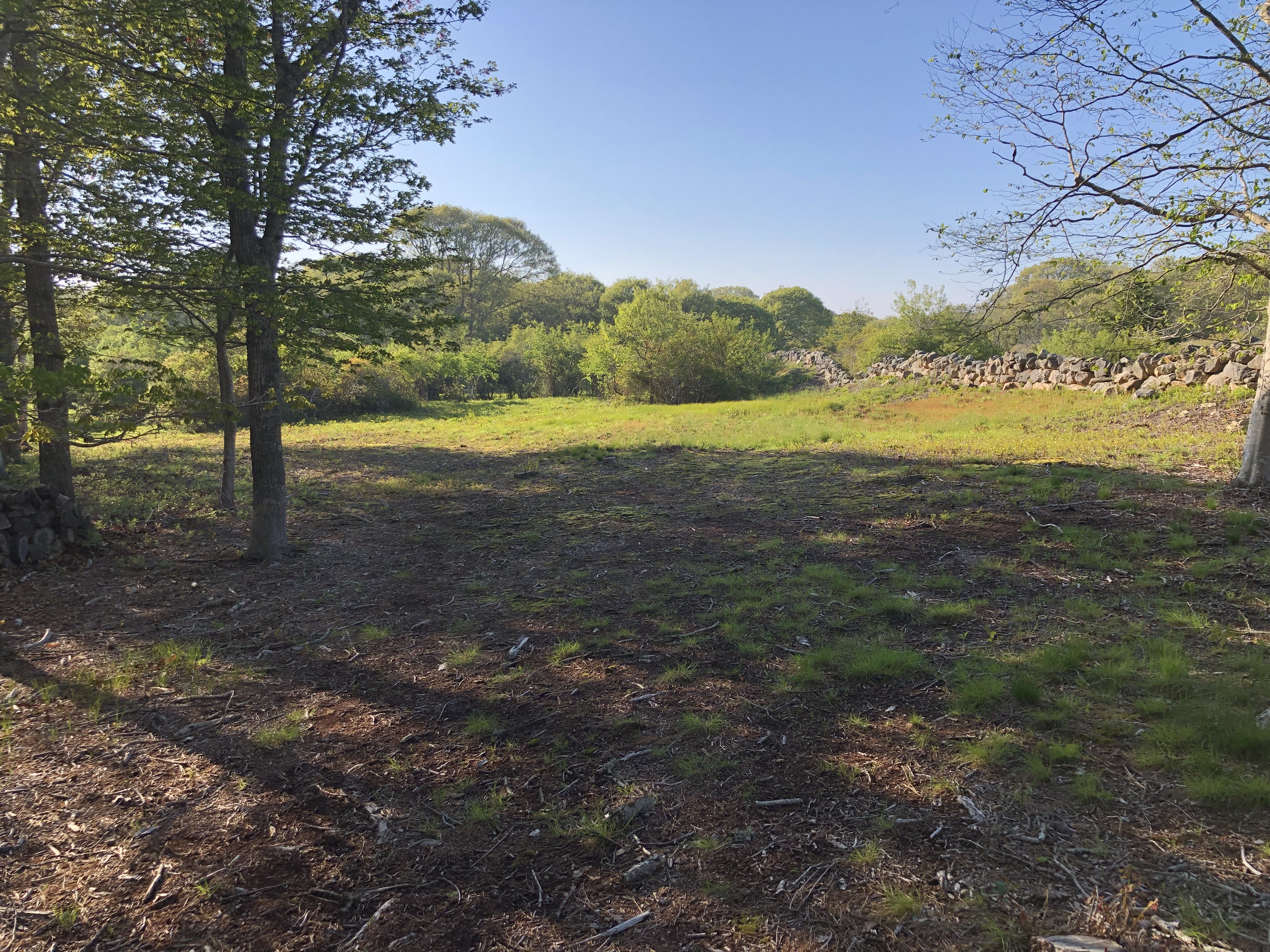 15 Menemsha Inn Road Chilmark, MA 02535 - Photo 10 of 11