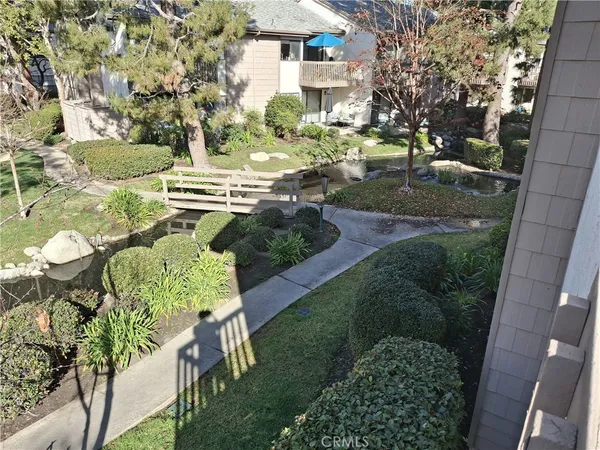 a view of a garden with plants