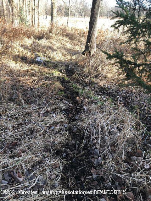 0 Wright Road Leslie, MI 49251 - Photo 21 of 41 21