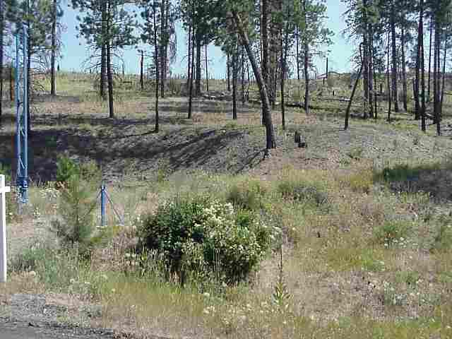 4720 North Gordon Road Spokane, WA 99224 - Photo 1 of 4
