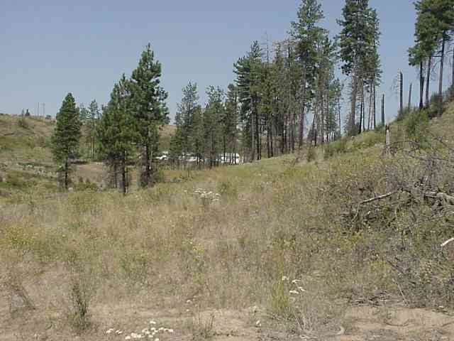 4720 North Gordon Road Spokane, WA 99224 - Photo 2 of 4