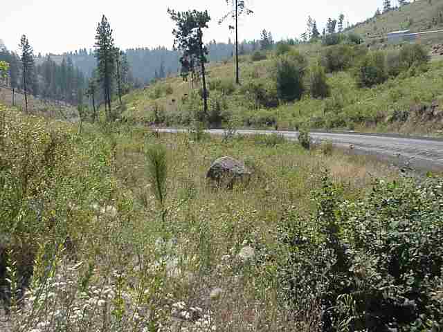 4720 North Gordon Road Spokane, WA 99224 - Photo 3 of 4