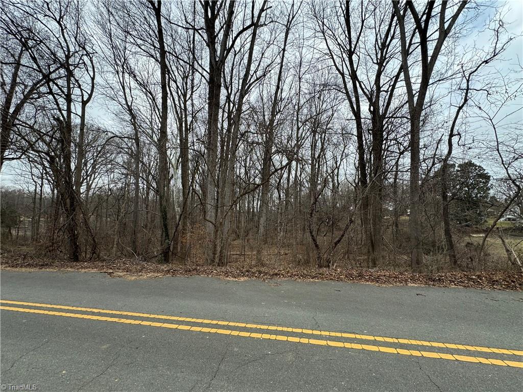0 Old Salisbury Road Winston-Salem, NC 27127 - Photo 2 of 6