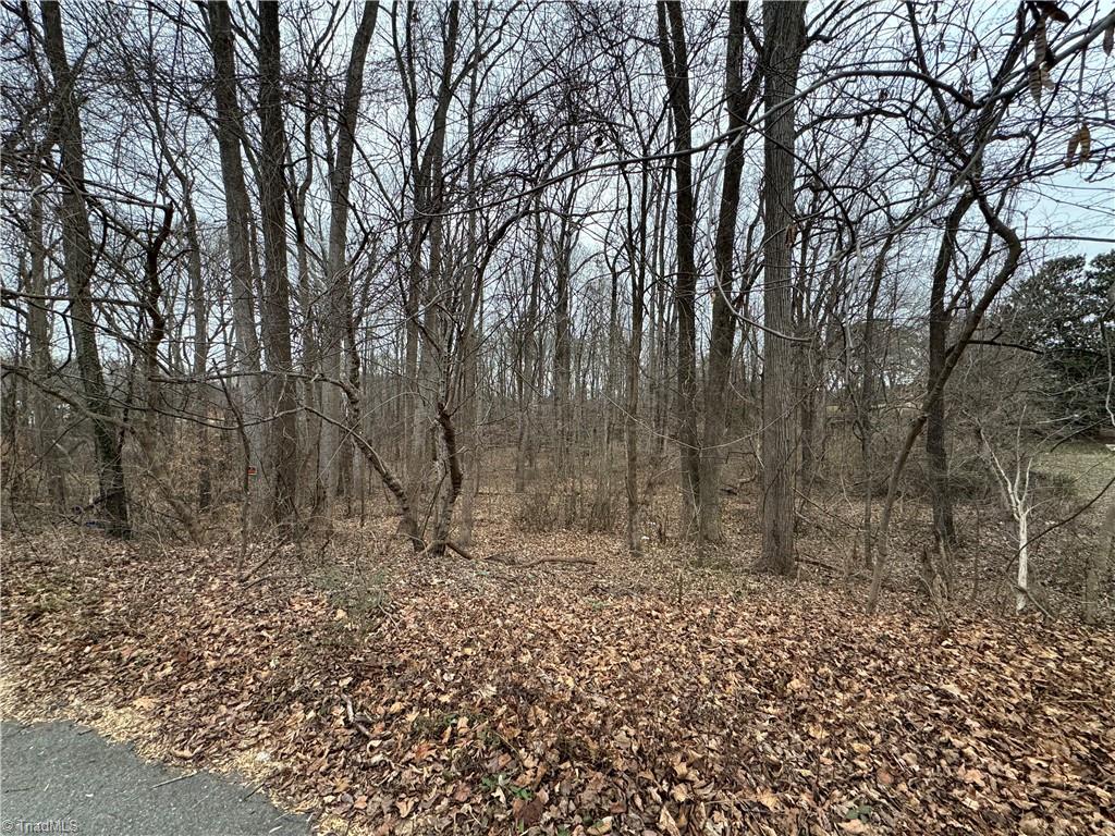 0 Old Salisbury Road Winston-Salem, NC 27127 - Photo 3 of 6
