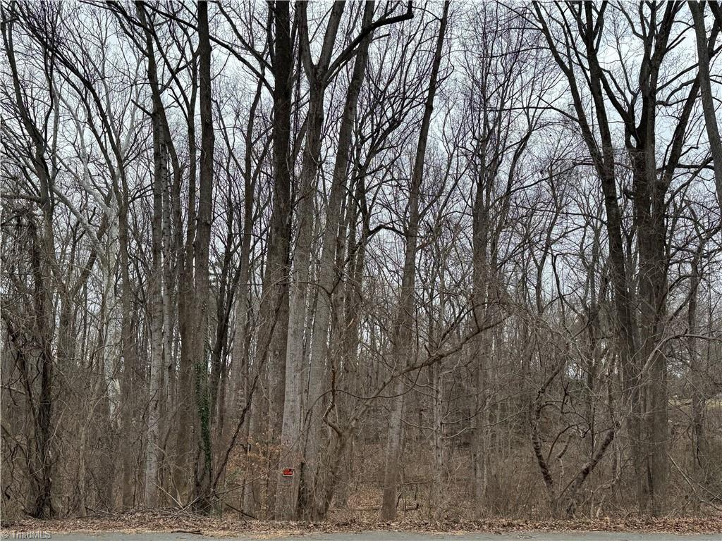0 Old Salisbury Road Winston-Salem, NC 27127 - Photo 4 of 6